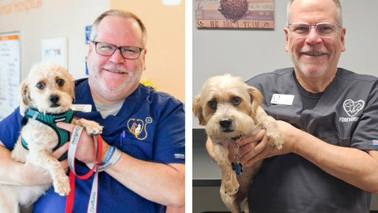 1 Year into a Plant-Based Diet, I’ve Ditched 70 Pounds and 8 Medications