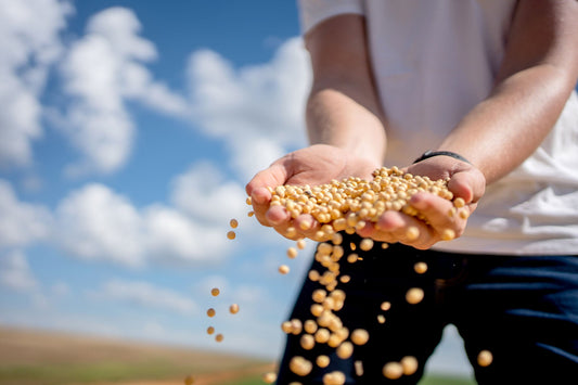 Affordable Organic Groceries? Azure Standard’s Drop System Makes It Possible