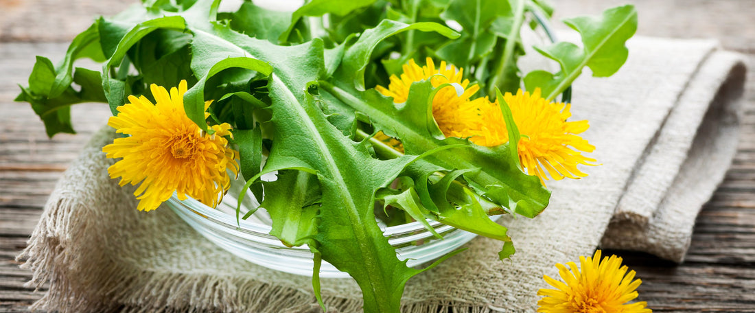 Ingredient IQ: Dandelions
