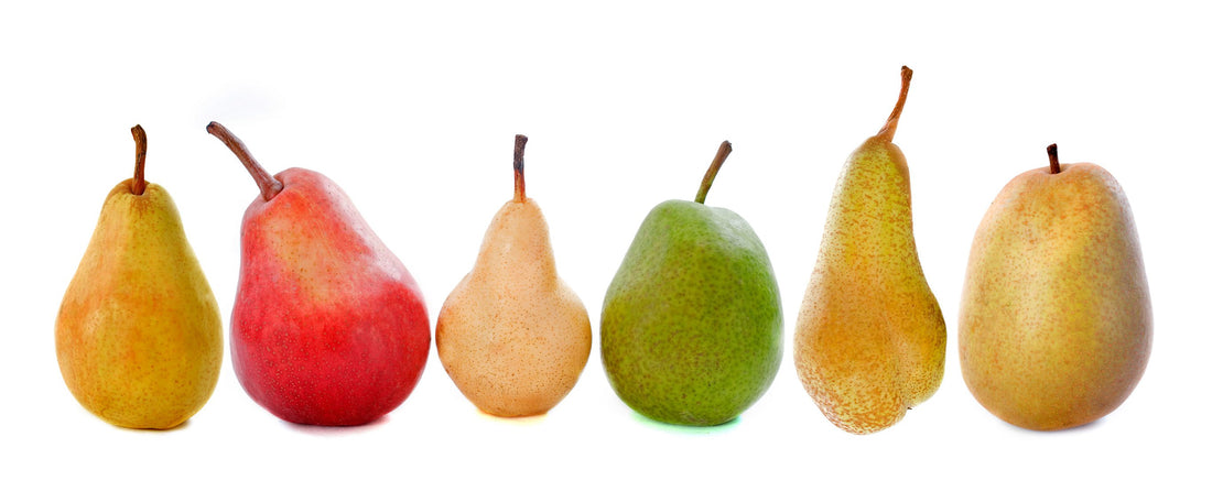 Types of Pears and How to Store and Cook Them