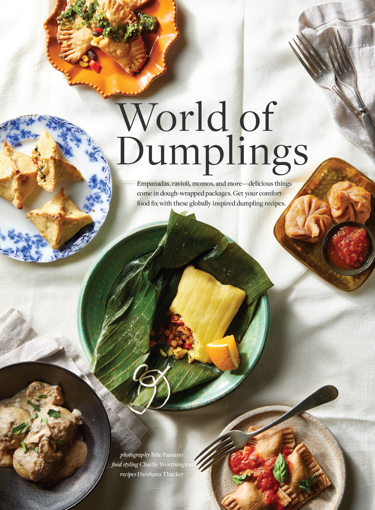Six plates of different dumpling recipes