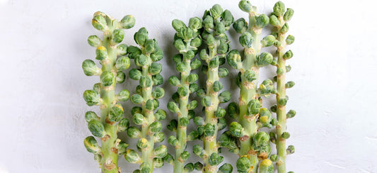 What Are Brussels Sprouts? Plus Tips, Tricks, Recipes, and More