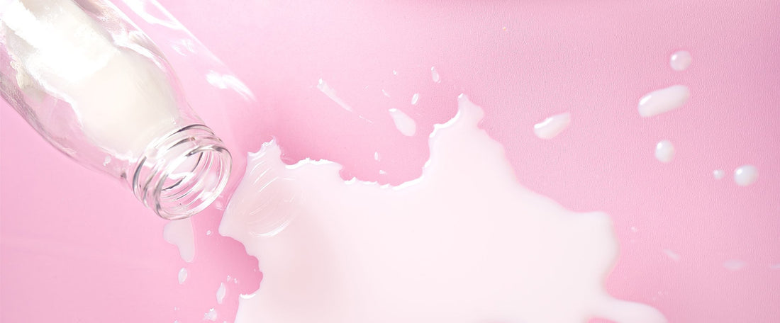 New Harvard Review Finds Little Evidence to Support U.S. Dairy Recommendations