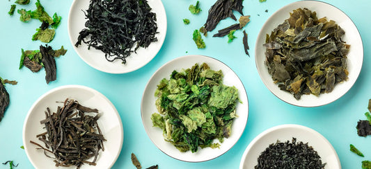 Sea Vegetables 101: A Quick-Start Guide to Cooking with Seaweed