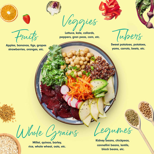 Plant-Based Primer: The Beginner's Guide to a Plant-Based Diet