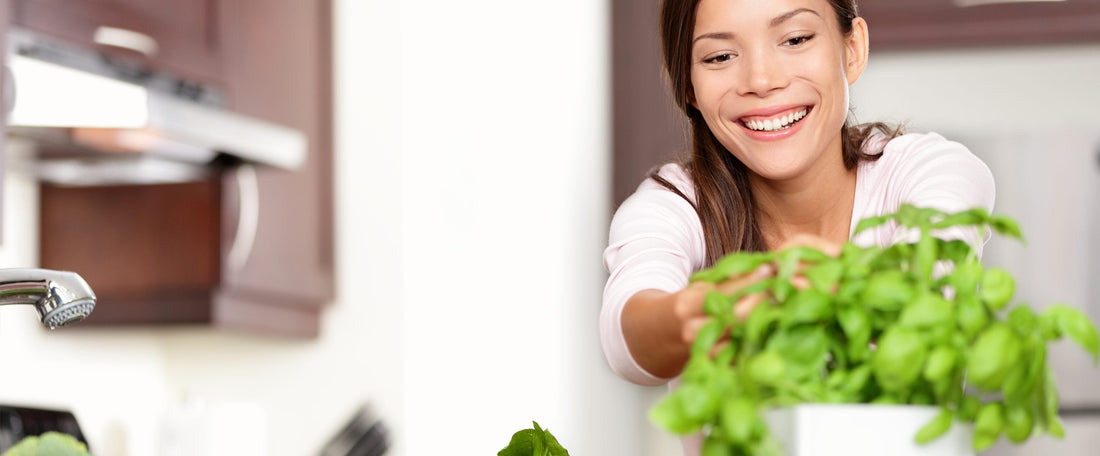The Ultimate Guide to Herbs and How to Pair Them with Produce