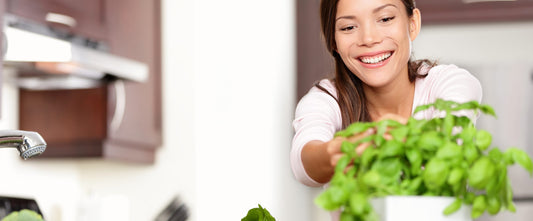 The Ultimate Guide to Herbs and How to Pair Them with Produce