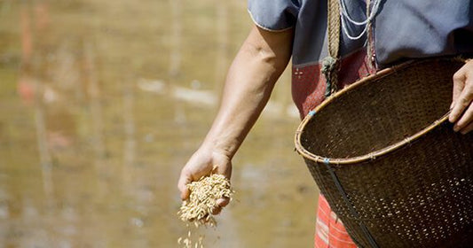 Animal Agriculture, Hunger, and How to Feed a Growing Global Population: Part One of Two