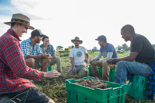 Growing for the Future: Rodale Institute's Vision for Sustainable Agriculture