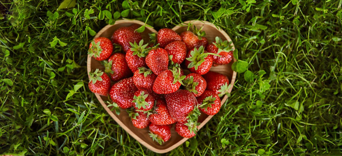 Up Your Strawberry Savvy: Selection Tips, Storage Hacks, and Recipes to Try