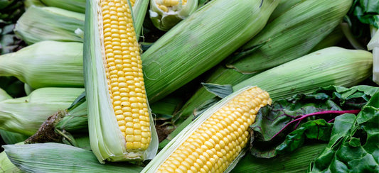 Handy Facts About Corn and How To Use It In Cooking