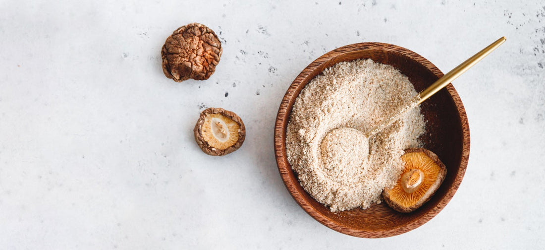 Shroomami Dust—the Salt-Free Seasoning You Can Make at Home