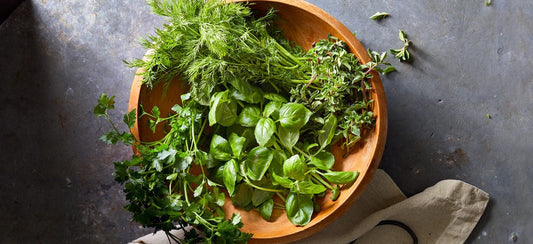 The 4 Easiest Herbs to Grow at Home, According to a Garden Expert