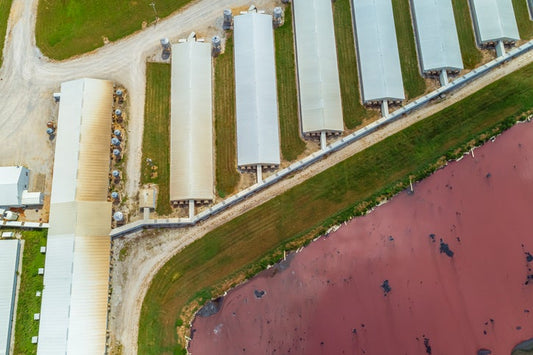 In Sweeping New Report, More Than 200 Climate Scientists Urge Consumers, Governments to Move Toward Plant-Based Diets