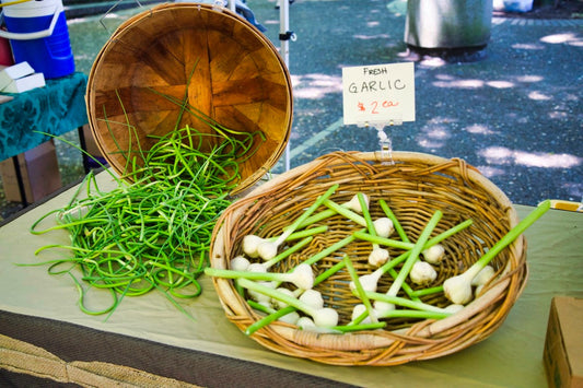 Green Garlic, Garlic Scapes, Ramps—What’s the Difference?!