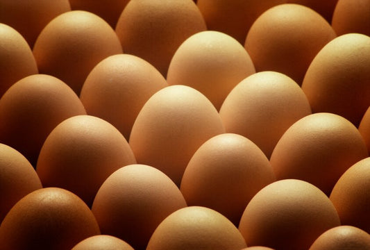 What’s Wrong with Eggs?