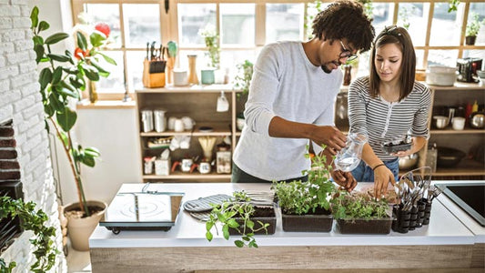 Editors' Picks: Eco-Friendly Kitchen Products For a Greener Home