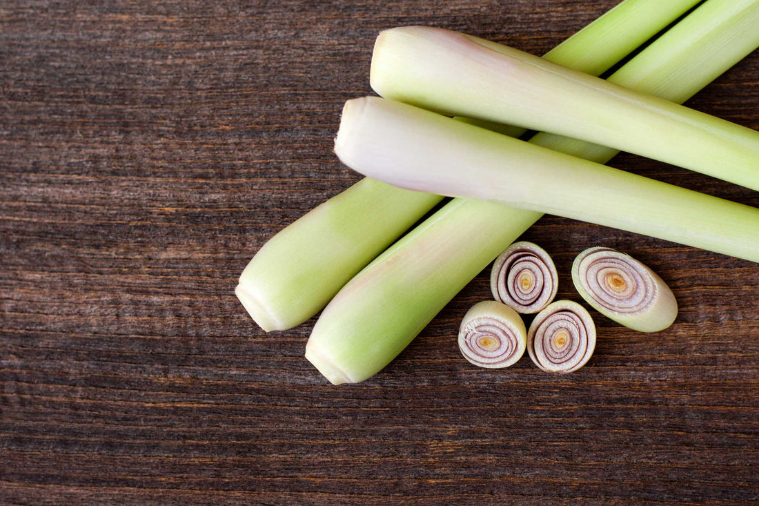 Lemongrass 101: How to Prep, Store, and Use This Fragrant Herb