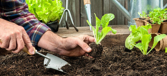 5 Blue Zones Hacks to Promote a Longer, Healthier Life