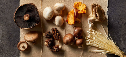 12 Types of Mushrooms and How to Use Them