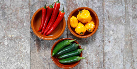Cook’s Guide to Fresh Chile Peppers