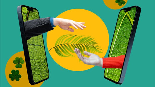 Beat Climate Crisis Fatigue: 10 Inspiring Eco Experts to Follow on Social Media