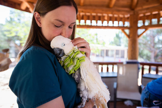 7 Vegan-Friendly Mother’s Day Experiences She’ll Truly Love