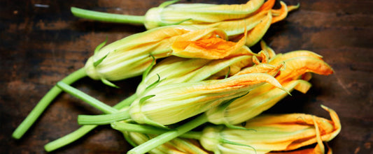 Ingredient IQ: Squash Blossoms