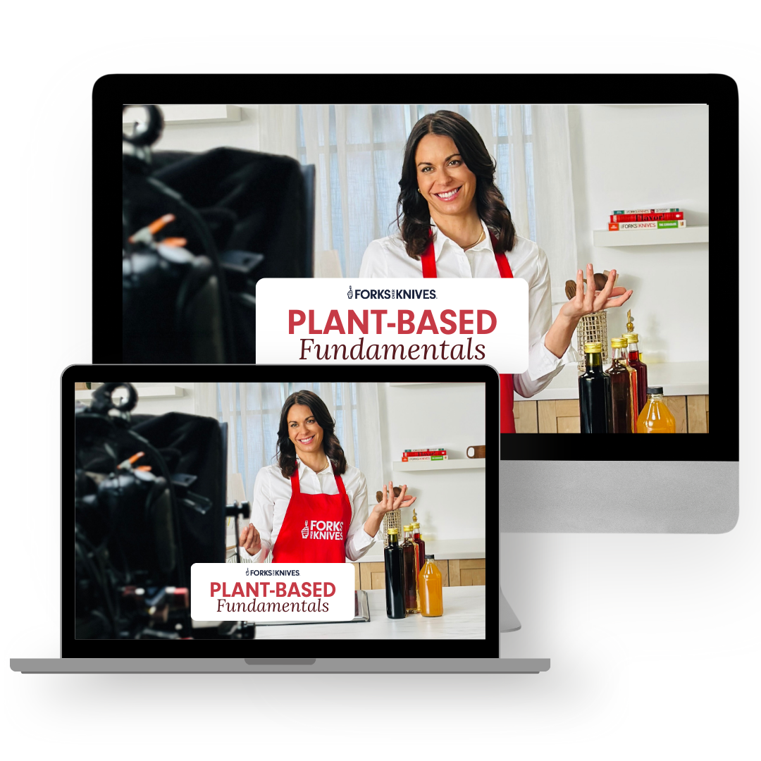 Stupid Simple Plant-Based Starter Bundle