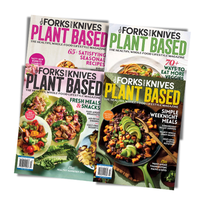 Print Version - 2025 Magazine Issues Bundle